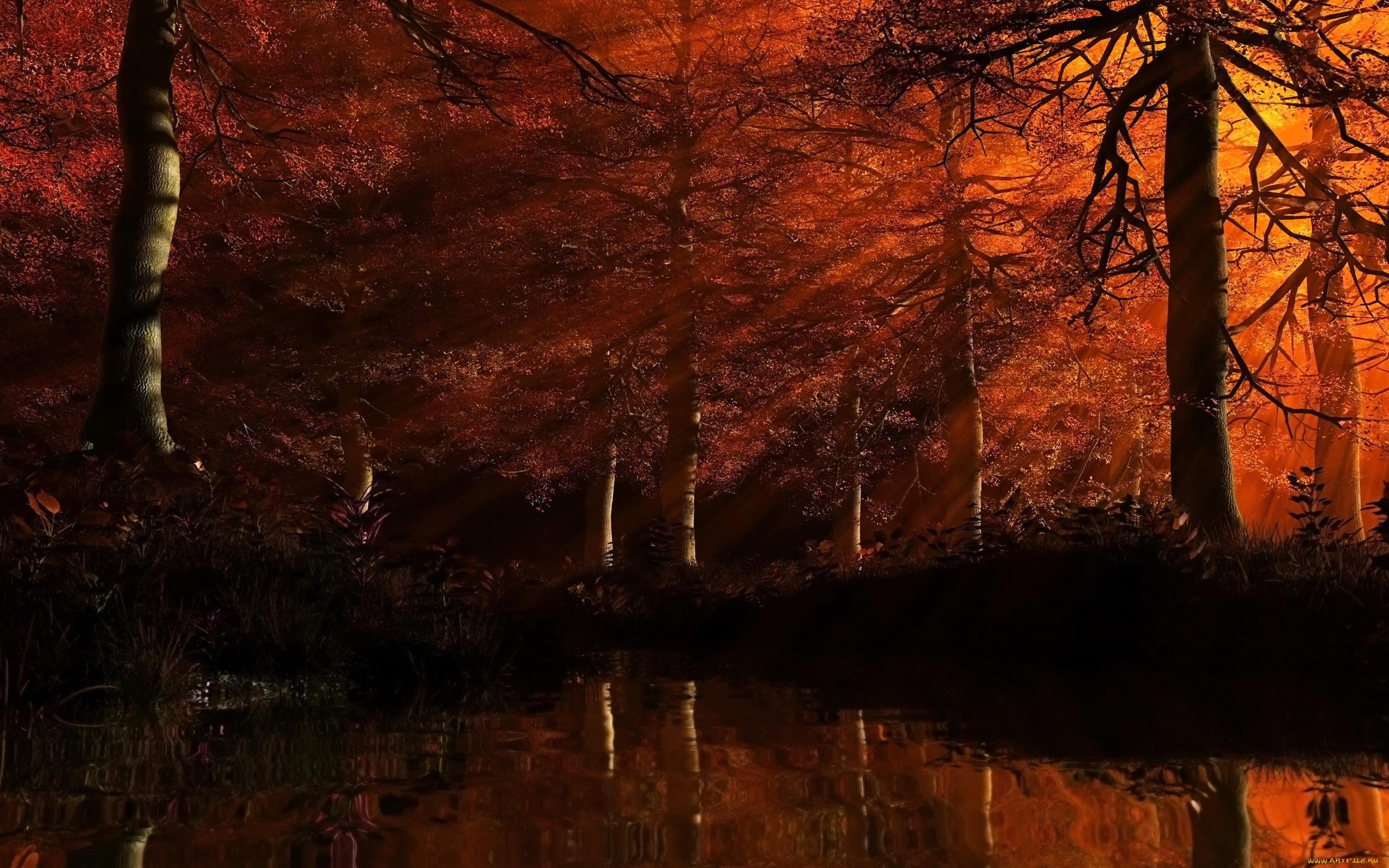 3 ,  , nature, , , , , 